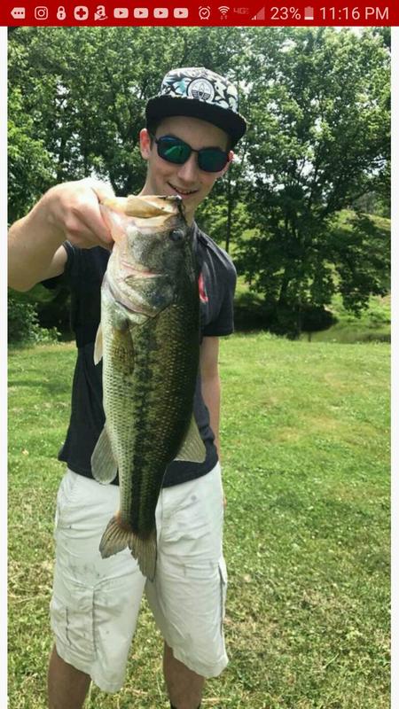 Photo submitted with review of product