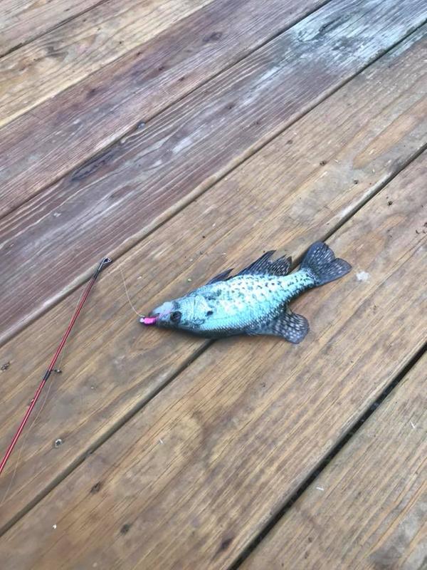 Photo submitted with review of product