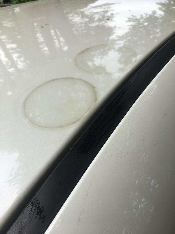 Photo submitted with review of product