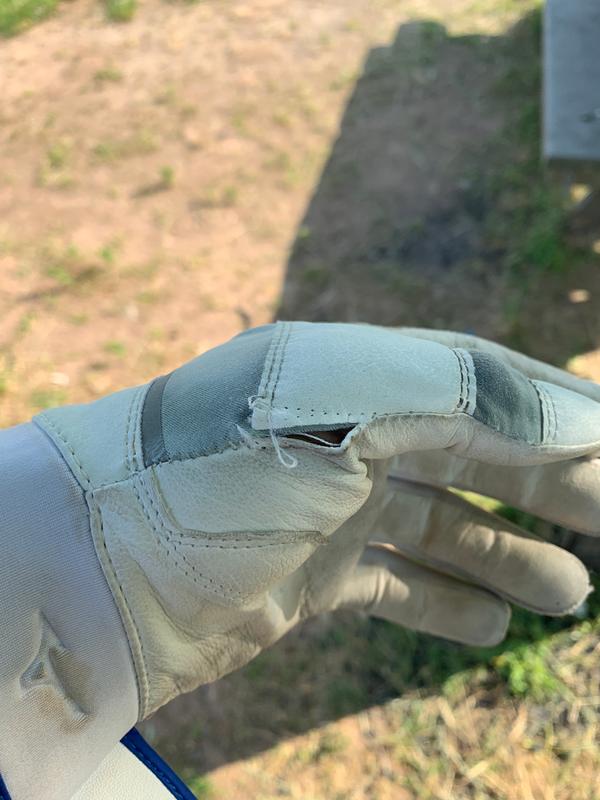 Photo submitted with review of product