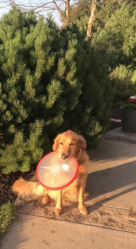 Photo submitted with review of product