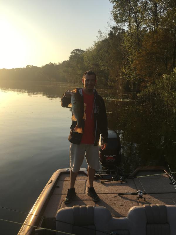 Photo submitted with review of product