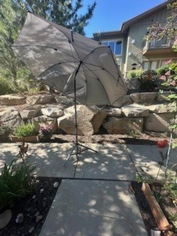 Photo submitted with review of product