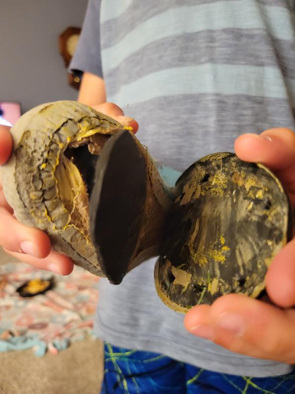 Photo submitted with review of product