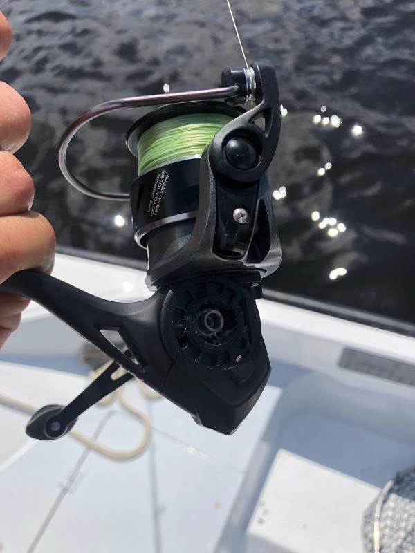 Photo submitted with review of product