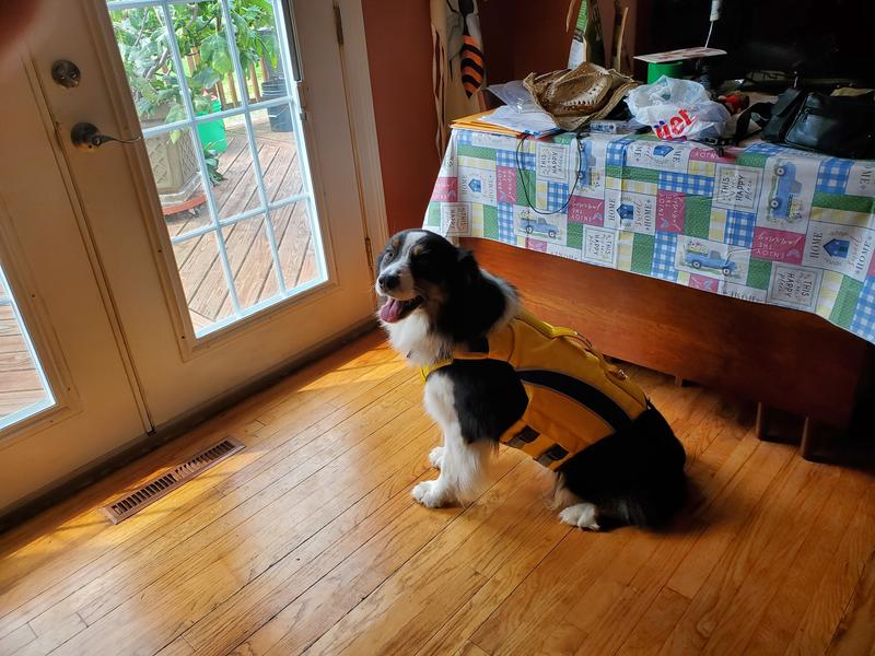 Photo submitted with review of product