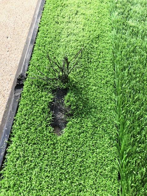 Photo submitted with review of product