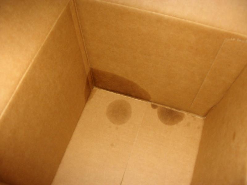 Photo submitted with review of product