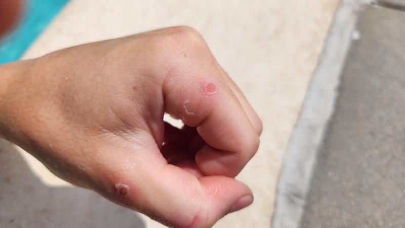 Photo submitted with review of product