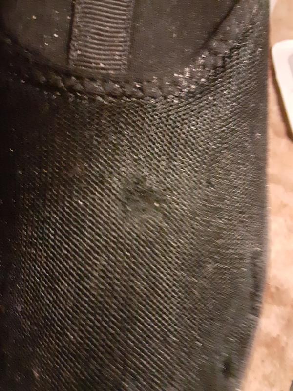 Photo submitted with review of product