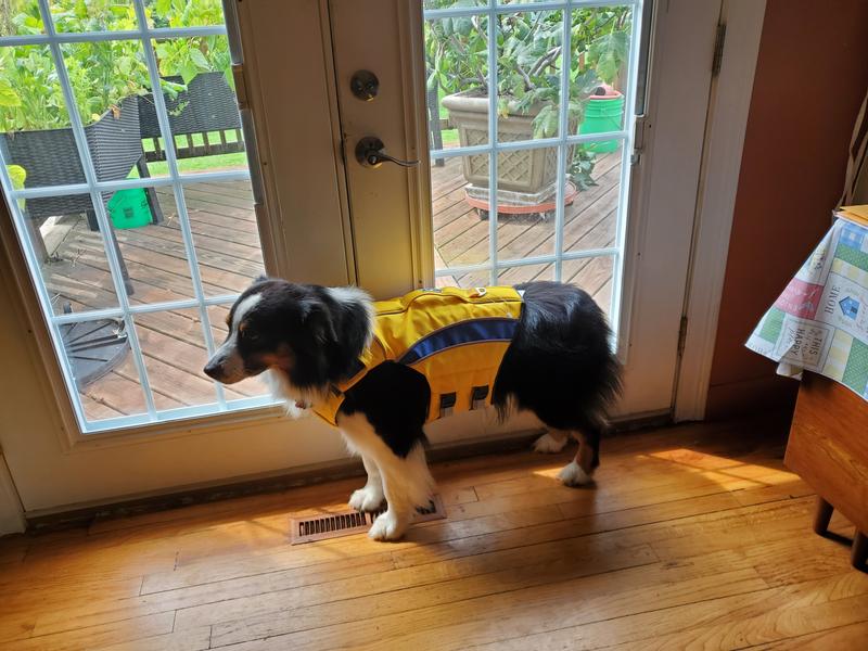 Photo submitted with review of product