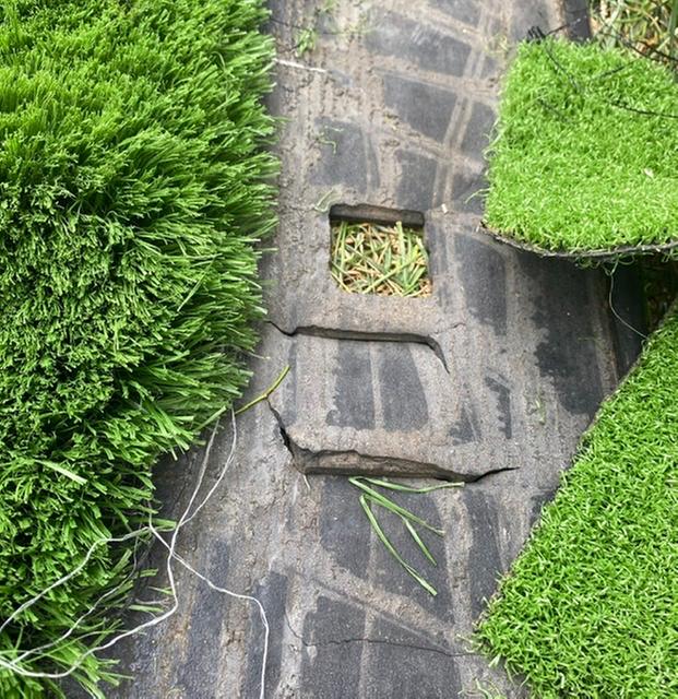 Photo submitted with review of product