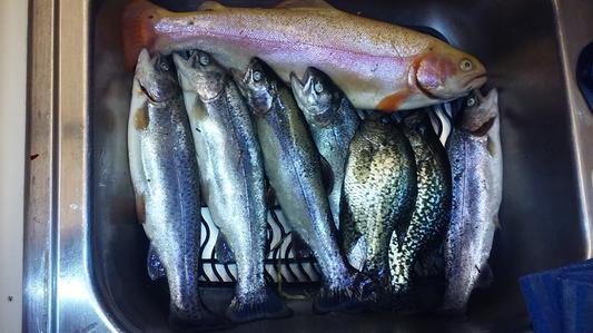 Photo submitted with review of product