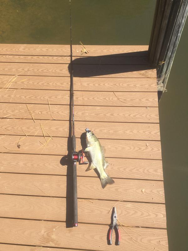 Photo submitted with review of product