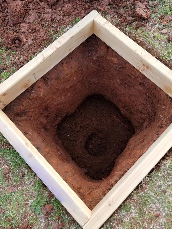 Photo submitted with review of product