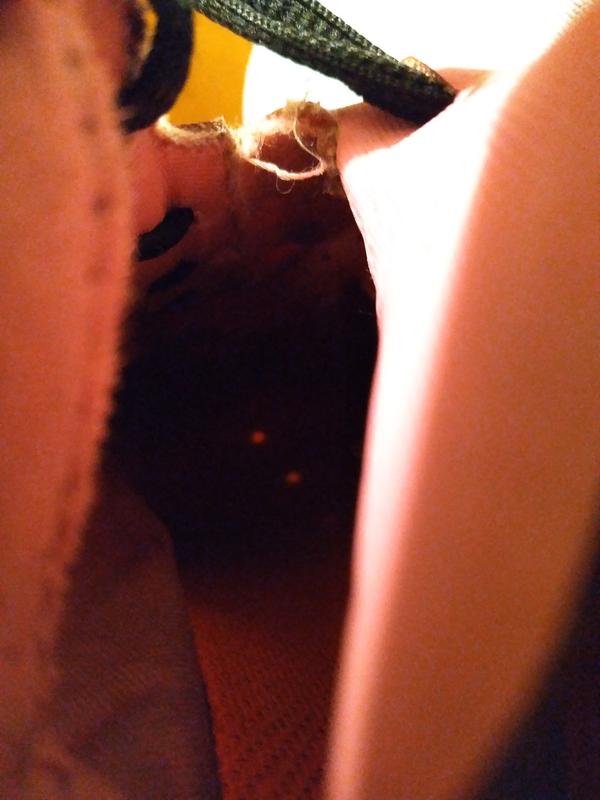 Photo submitted with review of product