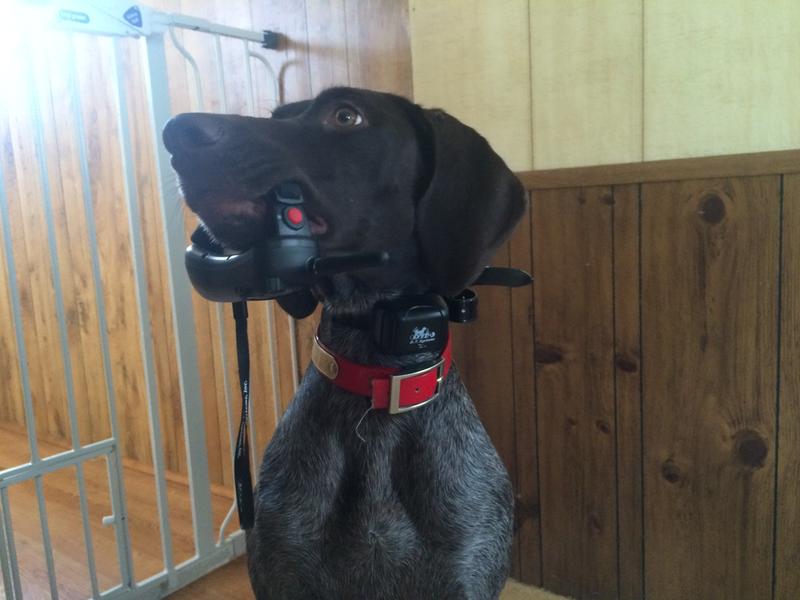 Trigger with her RAPT.