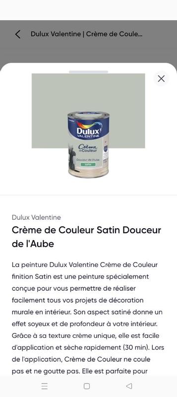 Pot De Peinture - Dulux Miniature