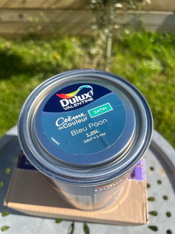 Bague De Réservoir + Joint D'étanchéité Pour Peugeot Citroën - Remplace 1531.30 / 9633283880