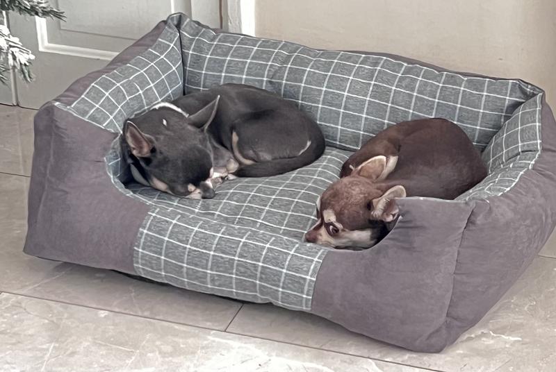 Dunelm mill dog outlet beds