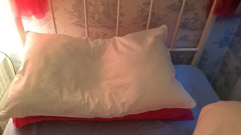 Clusterdown pillow outlet