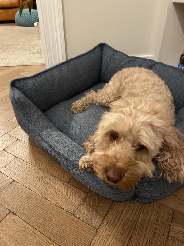 Scruffs Pet Manhattan Box Bed Dunelm