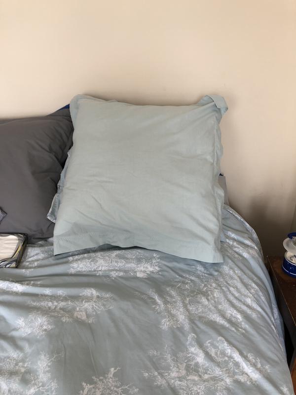 Dorma pillows clearance review