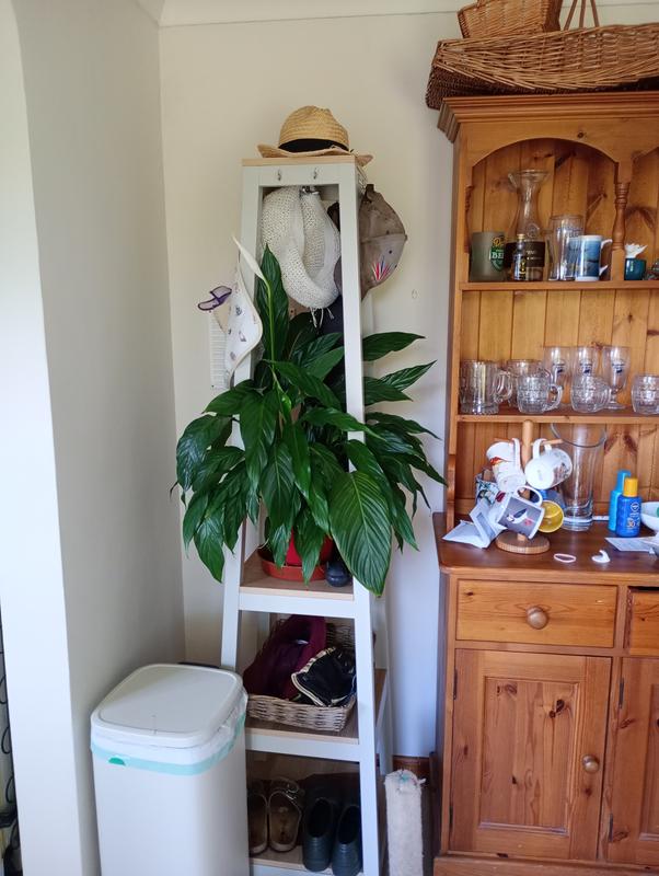 Compton Corner Coat Stand Dunelm