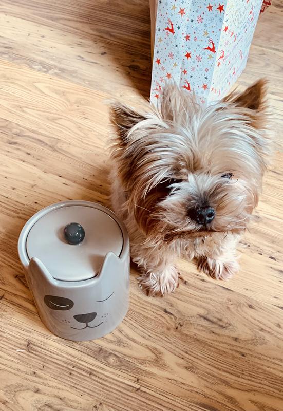 dog shaped treat jar