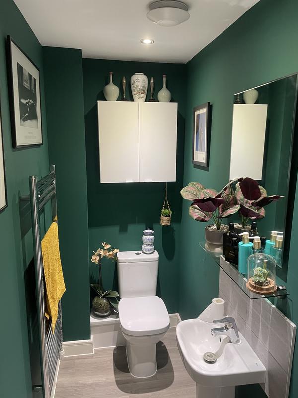 Dunelm Emerald Matt Emulsion Paint