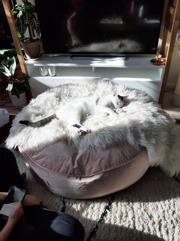 Large Bean Bag Dunelm