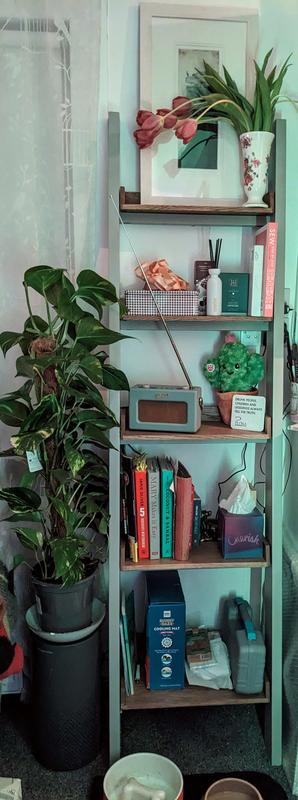 Dunelm bromley deals bookcase