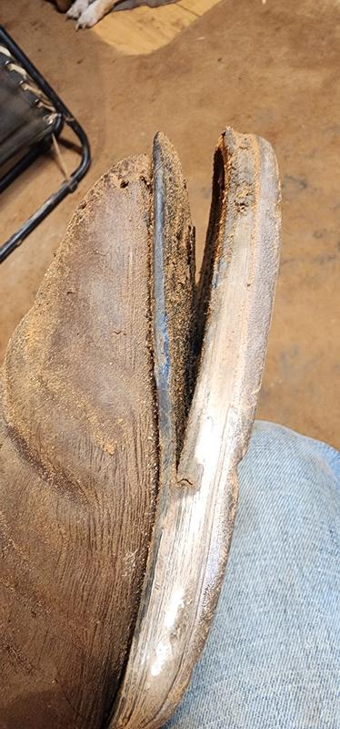 Photo submitted with review of product