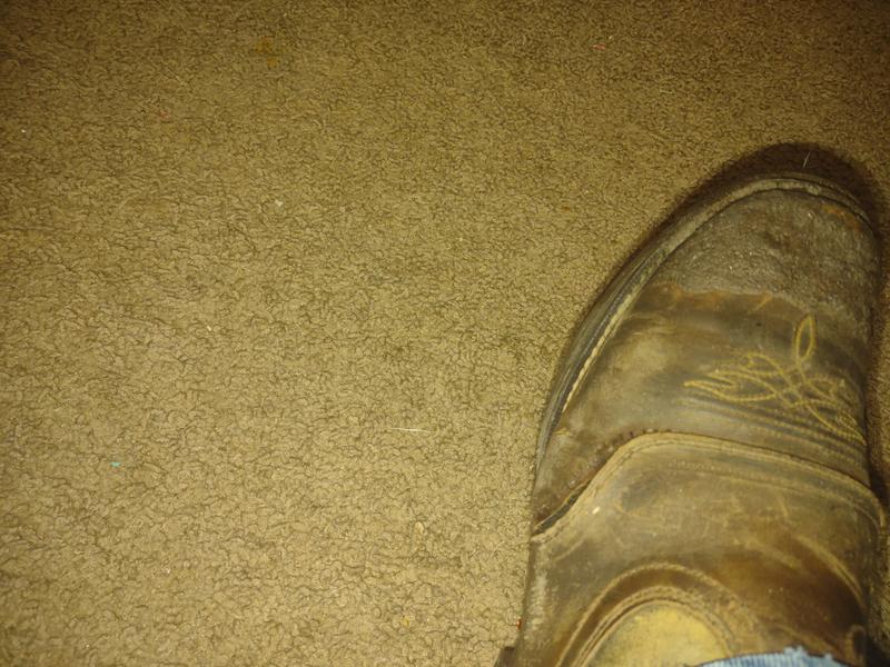 Photo submitted with review of product