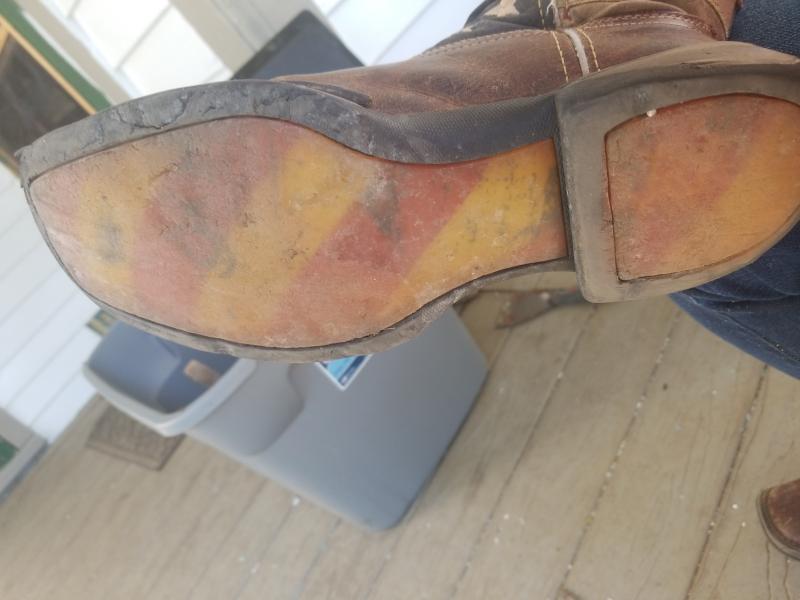 Photo submitted with review of product