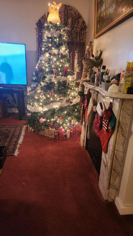 User generated review image 1