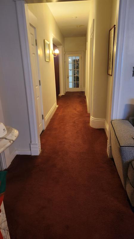 User generated review image 2