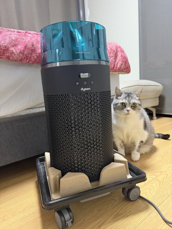 Dyson Hushjet™shizuka 空気清浄機の口コミ・レビュー｜ダイソン公式