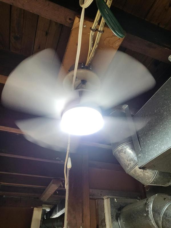 Basement Socket Fan