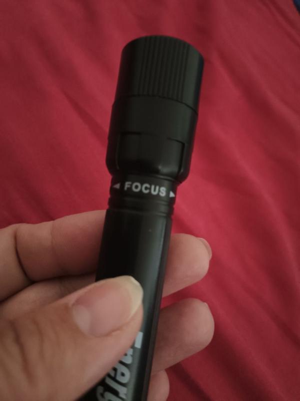 Revisione aperta modale 1 su 3