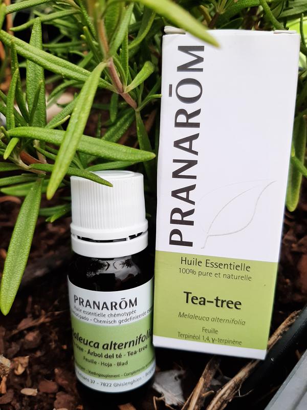 Pranarôm Essential oils Tea tree essential oil 10 ml - Easypara