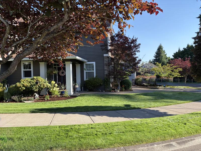 Review photo 1.