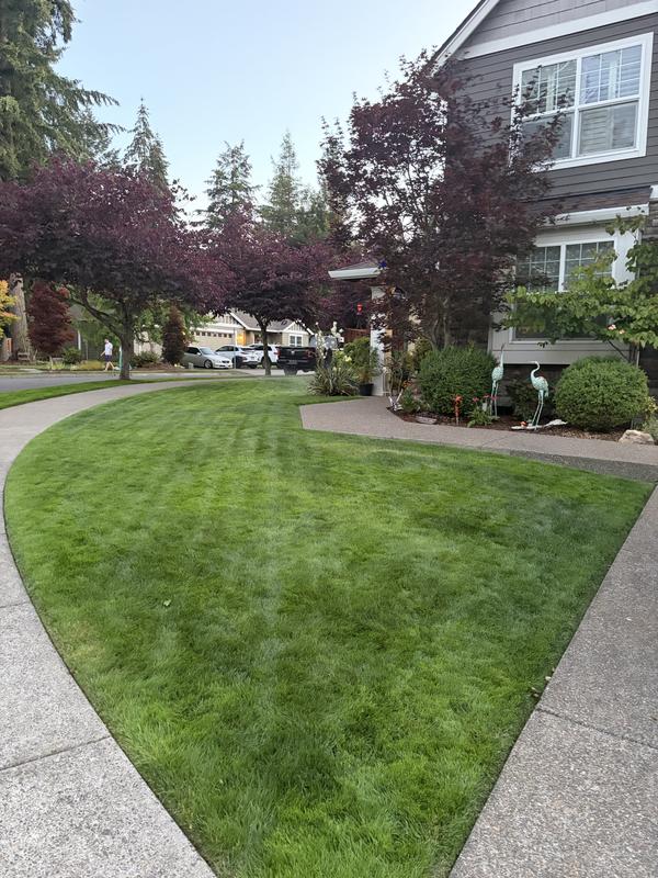 My new lawnmower