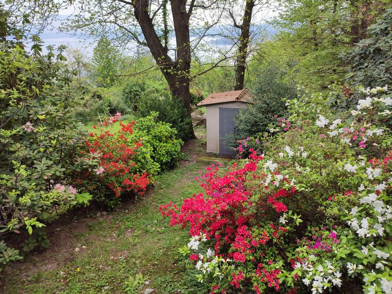 BH1001 IMBRACATURA A ZAINO (kit) - Ego Power