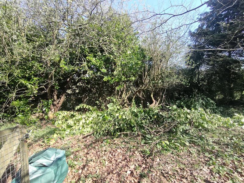 Revisione aperta modale 2 su 2