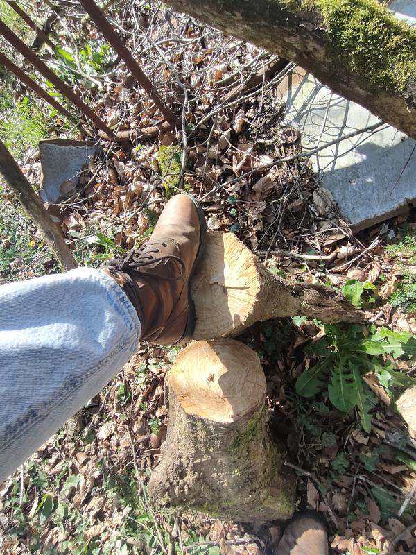 Revisione aperta modale 1 su 2