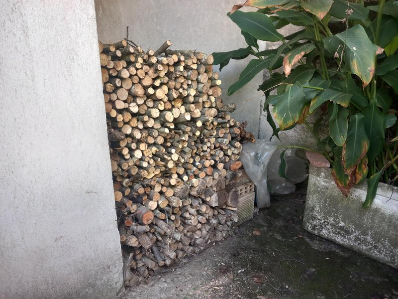 Revisione aperta modale 1 su 1