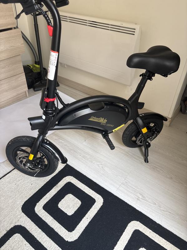 Draisienne électrique UrbanGlide Bike 120L - Moteur 250W, Batterie 36V 6Ah, Vitesse 25 Km/h, Pliable, Roues 12 Pouces - Pour Ados Et Adultes (dès 14 Ans)