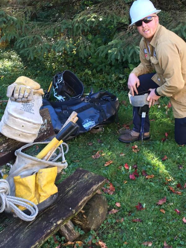 Getting ready to climb the power pole.