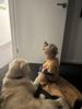 Customer review photo 1